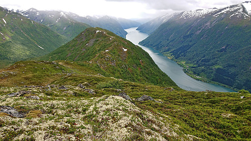 Skredfjellet and Fjærlandsfjorden from the descent from Middagshaugen