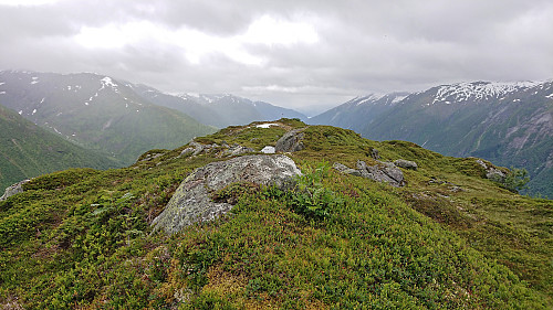 The highest point at Skredfjellet with the trig marker in the background