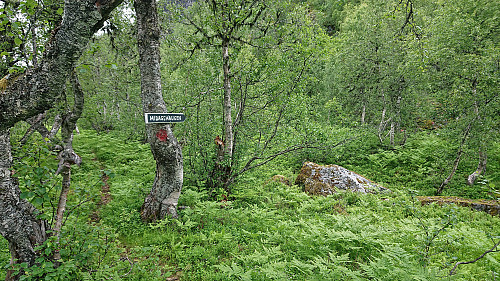 Sign pointing back up the ridge where the trail flattened out