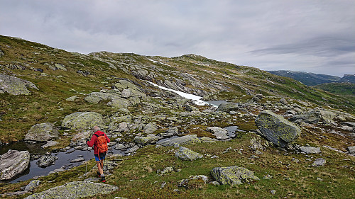 Approaching the summit of Hornafjellet