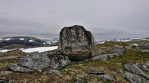 Most likely the highest point at Hornafjellet