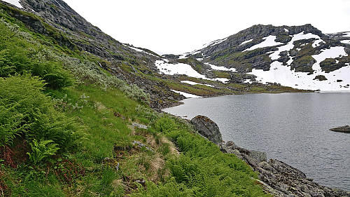 Sheep trail towards Skorvadalen