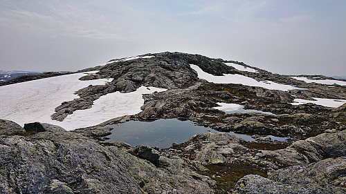 Approaching the unnamed small hill south of the summit of Gavlafjellet
