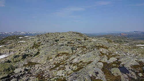 Approaching the summit of Askjellfjellet