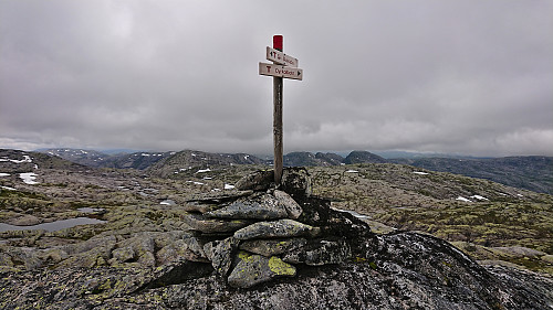 The highest point at Høganipa with Torrisskarfjellet and Vetlevasseggi in the background