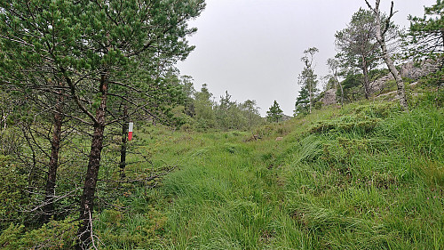 Trail marker, but no trail..?