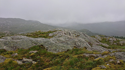 Båthaugen