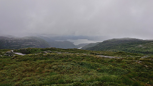 Kvingo from Torskarhøyen