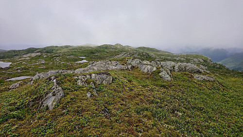 The highest point at Torskarhøyen with Vardefjellet in the background