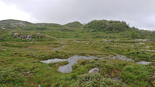 Approaching Vardefjellet