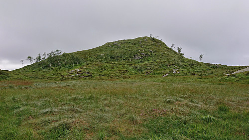 Vardefjellet from the southeast