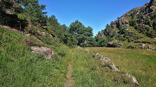 The first part of the trail with the ascent starting to the right