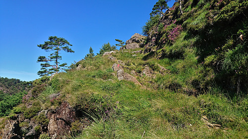 First part of the steep ascent