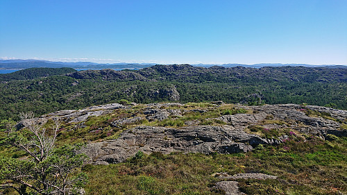 Gåsafjellet from Bergesfjellet