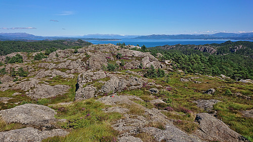 Descending from Bergesfjellet with Folgefonna in the background