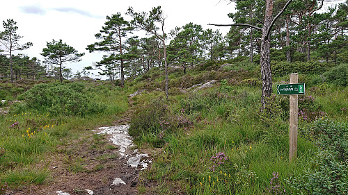 Continuing on the marked trail to Fjordblikk