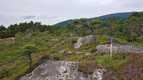 The northern route to Fjordblikk