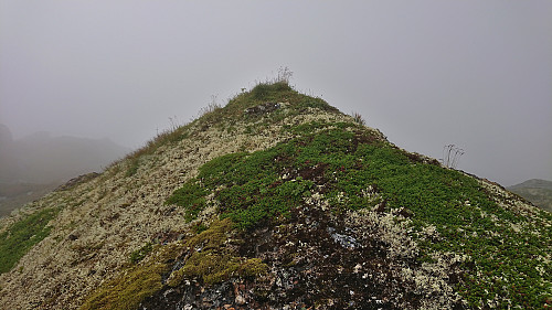 The highest point at Storhaug