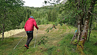 The trailhead