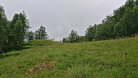 Mjelkeplassen