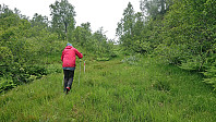 Trail north from Seterhaugen