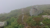 Following the marked trail