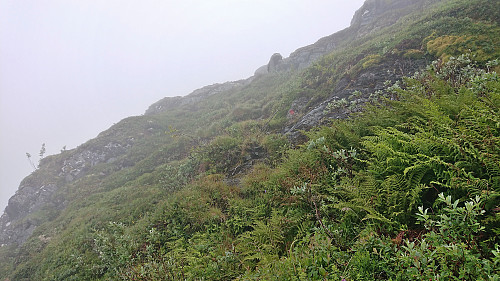 Red marker halfway up the steep scrambling section west of the summit