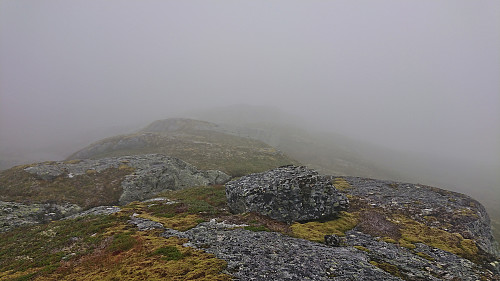 View east/northeast from the summit