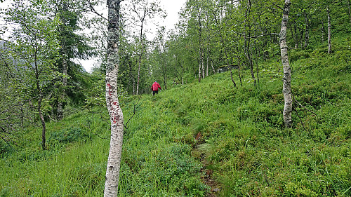 Finally on the marked trail