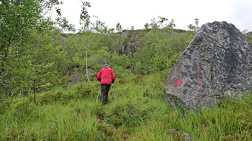 More of the marked trail