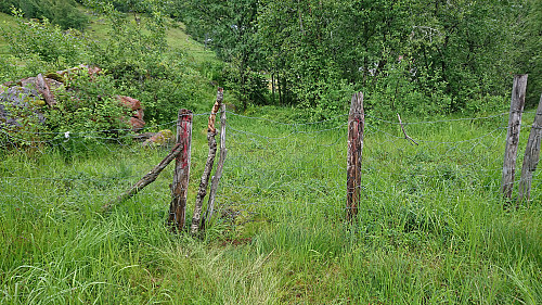 Gate in the fence just above the field. Left: the field, right: the new trail..?