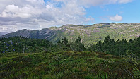 Salsfjellet from the east