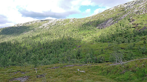 My reascent route to the Salsfjellet ridge as seen from the descent from Gjesfjellet