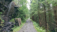 Tractor road from Halvgjenge
