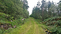 Tractor road towards the summit