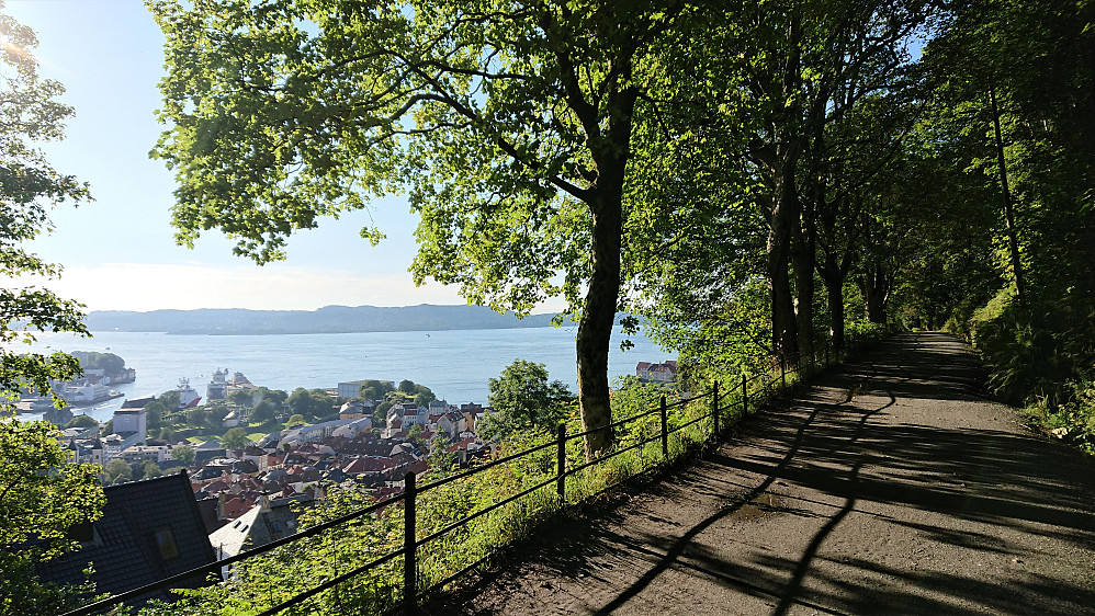 Fjellveien on the way back to Lønborg