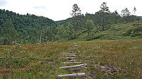 Trail after passing the first cabin