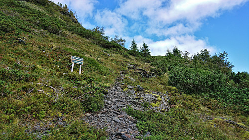 The start of the steep black trail up to Horganipen called Horgastien