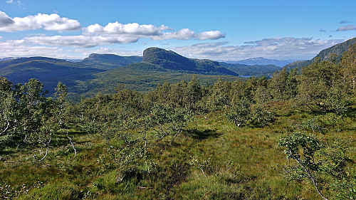 Skamdalshorgi from the descent from Steinsethorgi. Lønahorgi in the background right.