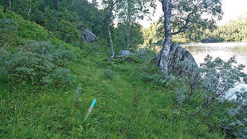 Marked trail east of Krokavatnet appearing out of nowhere southwest of Tjørolaholmen
