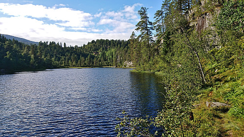 Trail along Svartatjørni southeast of Hola