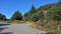 Tractor road towards Sætrafjellet