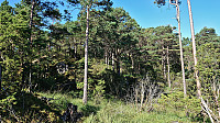 Off-trail towards the trig marker