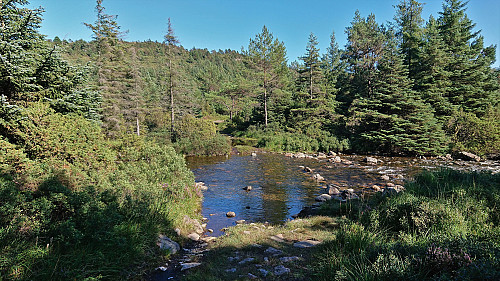 The tractor road crossing the river