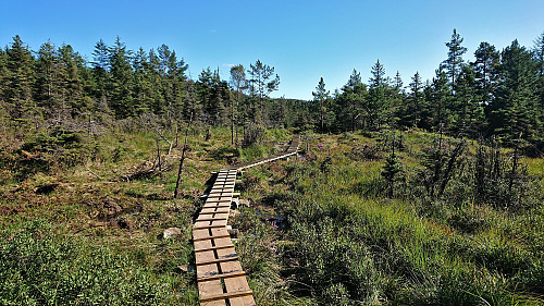 Trail from the bridge to reconnect with the tractor road