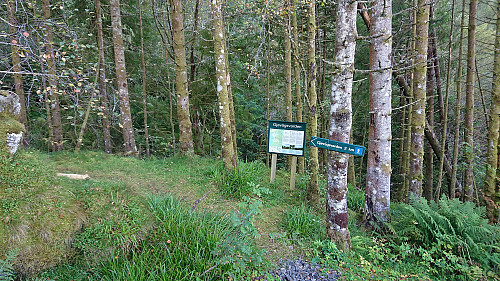 The marked trailhead