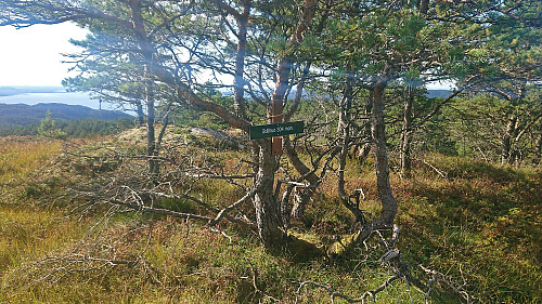 Sign next to the southern summit at Gjøvågsfjellet