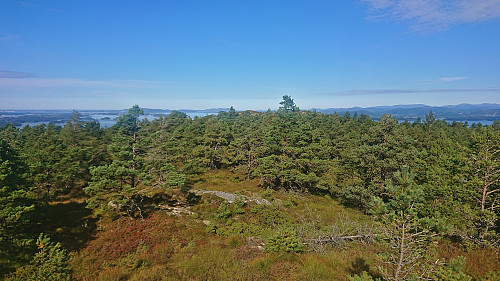 Looking back at the trig marker from the highest point