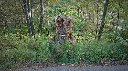 A troll next to the road west of Langevatnet :)