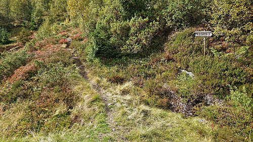 The marked trailhead for Helgaset